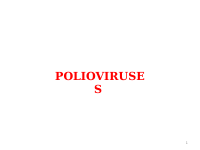 8. Polio virus.pdf
